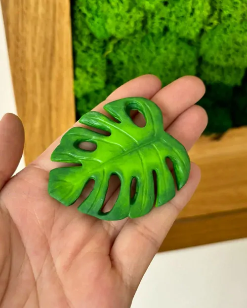 Monstera (brož)