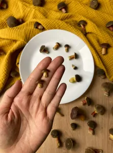 Hříbečky (peckové náušnice)