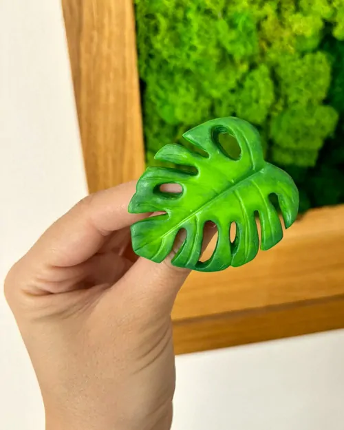Monstera (brož)