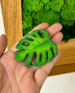 Monstera (brož)