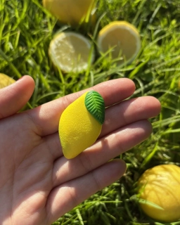 Citron (brož)